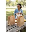 100 Sacos Kraft Delivery: Reforçados P/ Fast Food 24x30x14