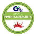 100 Sementes Da Pimenta Malagueta