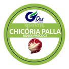 100 Sementes De Chicória Palla Rossa Precoce