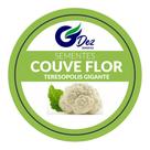 100 Sementes De Couve Flor Teresópolis Gigante