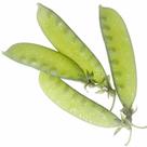 100 Sementes De Ervilha Torta de flor roxa