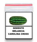 100 Sementes De Melancia Gigante Carolina Cross
