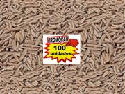100 Sementes De Rosa Do Deserto Cores Sortidas