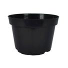 100 vasos pote 11 volume de 430 ml mudas suculentas violetas
