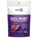 100% whey 480 g - size up (morango) 100% whey 480 g - size up (morango)