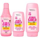 1097FL-Kit3 Desmaia cabelo, Shampoo+Condic+Leave Forest Liss