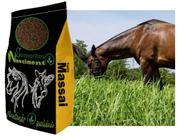 10kg Sementes capim massai para formar pastagem resistente e nutritiva