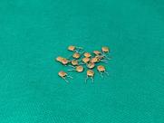 10x Capacitor Ceramico 75pf/50v 5% Pre Np0