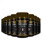 10x colágeno tipo ii 120 cápsulas hf suplementos