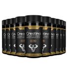 10x creatina monohidrata 3g pure 120caps 1550mg atacado