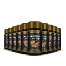 10x lecitina de soja hf suplementos 60 caps