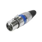 10x Plug Cannon Fêmea - Premium Profissional - Série Ring 10x Plug Cannon Fêmea - Premium Profissional - Série Ring
