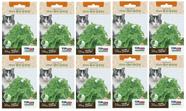 10X Sementes Erva Dos Gatos (Nepeta Cataria) Catnip TOPSEED 10X Sementes Erva Dos Gatos (Nepeta Cataria) Catnip TOPSEED