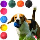 12 Bolinha Anti Stress Bola C/ Cravo Fisioterapia Pets Cães