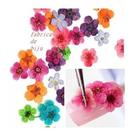 12 Flores Seca Decoração Unhas Salão Qualidade Oferta 12 Flores Seca Decoração Unhas Salão Qualidade Oferta