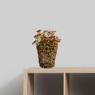 12 Galhos Mosquitinho: Decoração de Sala com Flores Artificiais Artesanato e Decoração Única DE9056