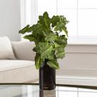 12 Hastes Artificial Caladium Premium Para Arranjos E Vasos