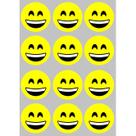 12 Imãs de Emoji