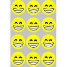 12 Imãs de Emoji
