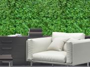 12 Placas de Alta Qualidade Plantas Permanentes para Jardim Vertical Indicado Decoração Área Interna
