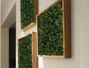 12 Placas de Buxinho Artificial 25x25 cm para Decoração de Paredes Verdes e Ambientes Internos - DE27095