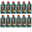 12 Und Oleo Motor Castrol Magnatec 5w30 A5 Orig.ford