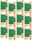 12X Sementes Grama Bermuda (Folha Fina) ISLA