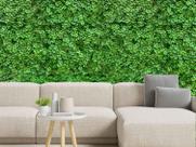1,44m² Kit de quadro para jardins verticais grama artificial - DE1022