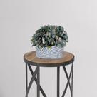 15 buques flor artificial mini hortênsia uso interno preço atacado arranjo decoração cesto guirlanda - DE1923