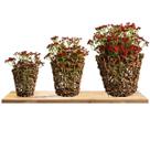 18 galhos mini artificial Delicadas: Flores Artificiais preço Atacado para Arranjos Elegantes DE9056