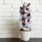 18 Hastes Artificiais Orquídea phalaenopsis toque real flor revestida em silicone ajustável 80cm - DE1424