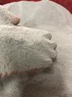 1kg Calcário Calcítico Para Alimentação Animal - Maroa Andrezza - Em Pó