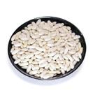 1kg Feijão Branco Qualidade Premium