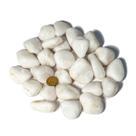 1kg Quartzo Leitoso Rolado Pedra Natural G 30 a 45mm Tipo B 1kg Quartzo Leitoso Rolado Pedra Natural G 30 a 45mm Tipo B