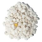 1kg Quartzo Leitoso Rolado Pedra Natural P 10 a 20mm Tipo B 1kg Quartzo Leitoso Rolado Pedra Natural P 10 a 20mm Tipo B