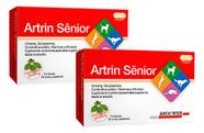 2 Artrin Sênior Ginseng Suplemento Cães Idosos 30 Comp Kit