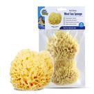 2 Banheiras de Esponja Natural Sea Sponge Baby Buddy para Recém-Nascidos 2 Banheiras de Esponja Natural Sea Sponge Baby Buddy para Recém-Nascidos
