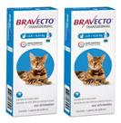2 Bravecto Transdermal Gato De 2,8 A 6,25kg Antipulgas 250mg