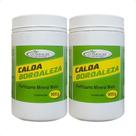 2 Calda Bordaleza Quimiagri Fertilizante Mineral Misto 900 G
