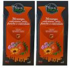 2 Erva Mate Chimarrão FONTE DO MATE MORANGO ANIS FUNCHO 500g