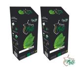 2 Erva Mate Chimarrão ORIGEM DO MATE MENTA composta 500gr