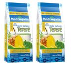 2 Erva Mate Tereré MADRUGADA ABACAXI E MENTA composta 500g