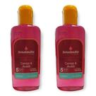 2 Essência Concentrada Desinfetante 140ml Lavanda Talco Cereja Avelã Bambu Alga Mar Capim - Envio Já