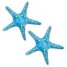 2 Estrelas Do Mar Em Resina 15cm Pendurar em Paredes Coloridas