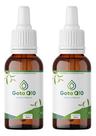 2 Frascos Gota Q10 Óleo Semente De Abacate 30ml