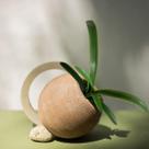 2 Galhos de Folhas de Orquídeas Cymbidium Artificiais Haste Longa em Silicone Decoração Luxuosa DE3224
