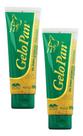 2 Gelo Pan Gel AnaLGésico Para Pequenos Animais Vetnil 100g 2 Gelo Pan Gel AnaLGésico Para Pequenos Animais Vetnil 100g