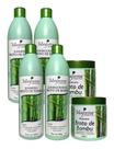 2 Kits Broto De Bambu Reconstrução E Proteção Maycrene 2 Kits Broto De Bambu Reconstrução E Proteção Maycrene