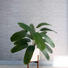 2 Mini Arbusto Planta Artificial para Vaso e Arranjos em Sacadas Material de Silicone Modelo Caeté - DE0124