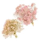 2 Mini Buques Gypso Mosquitinho Rosa E Branco Desidratada